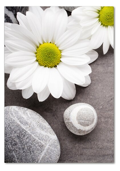 Tablou din Sticlă gerbera