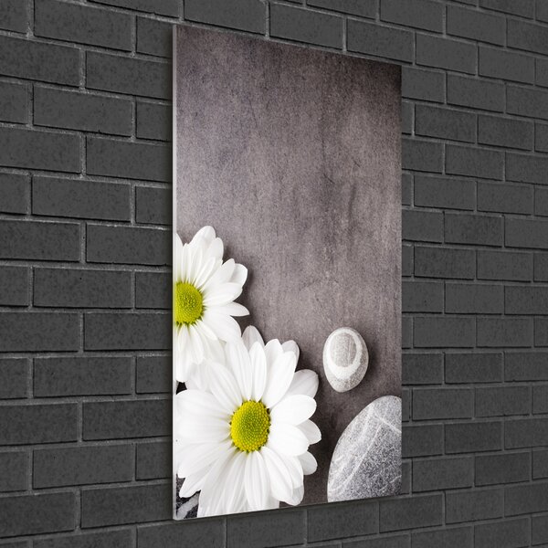 Tablou din Sticlă gerbera