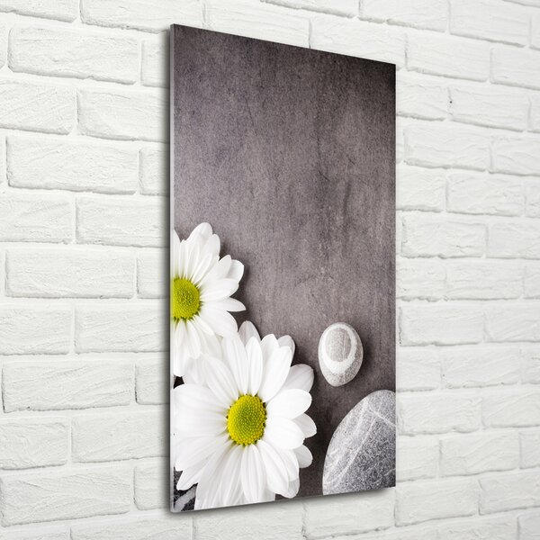 Tablou din Sticlă gerbera
