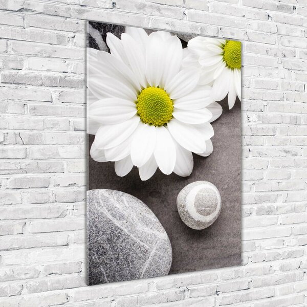 Tablou din Sticlă gerbera