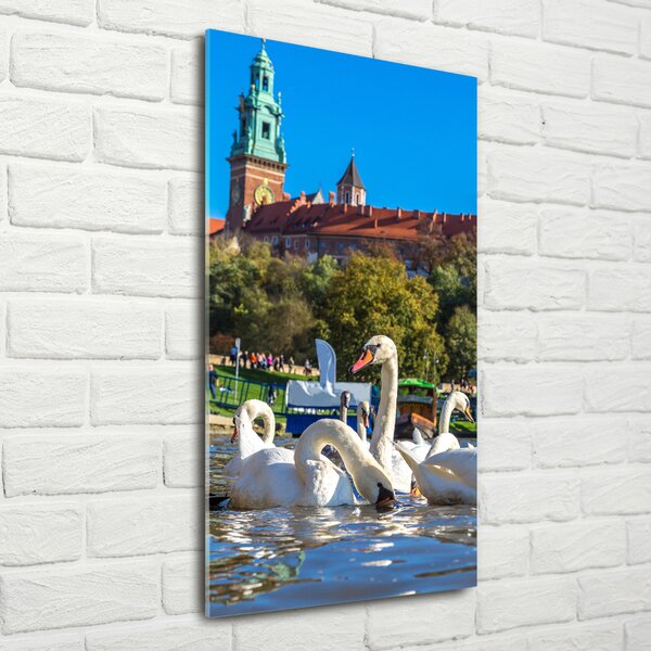 Fotografie imprimată pe sticlă Cracovia, Polonia