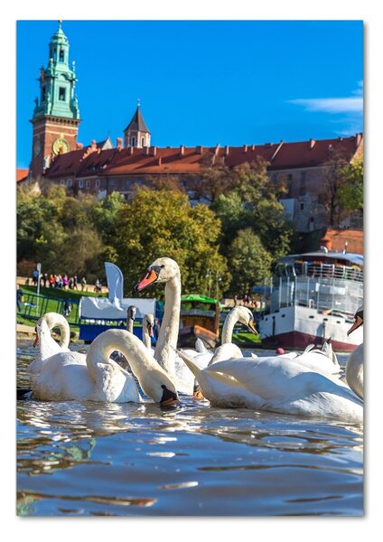 Fotografie imprimată pe sticlă Cracovia, Polonia