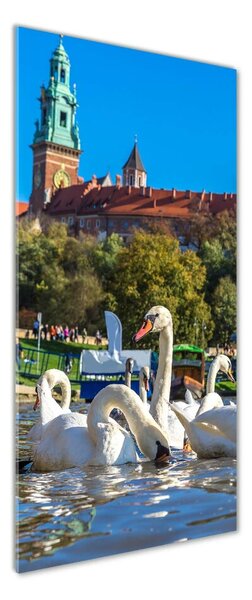 Fotografie imprimată pe sticlă Cracovia, Polonia
