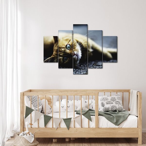 Tablou cu pisica (150x105 cm)