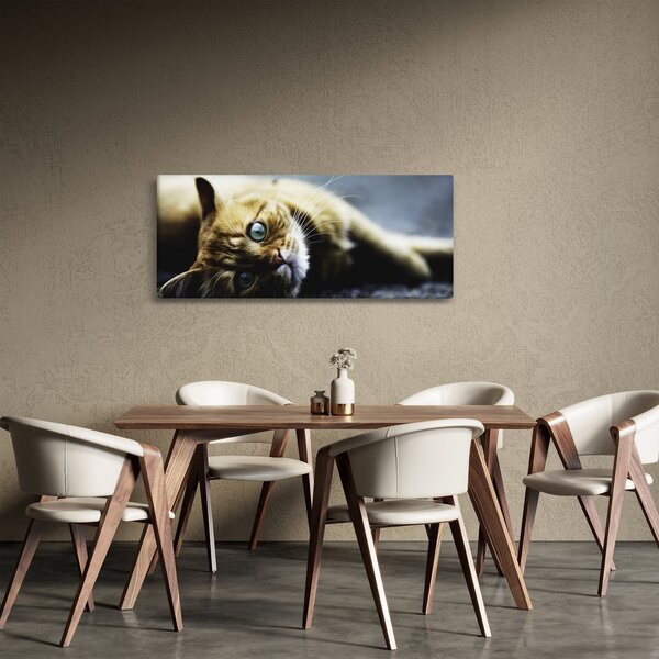 Tablou cu pisica (120x50 cm)