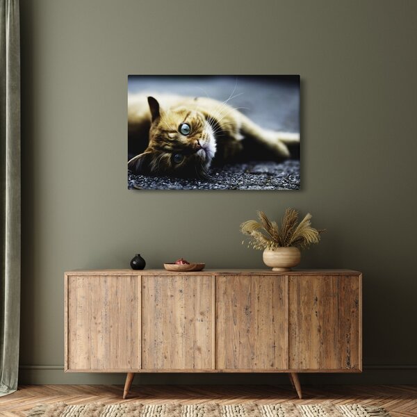 Tablou cu pisica (90x60 cm)