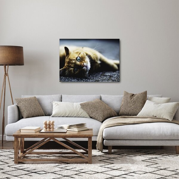 Tablou cu pisica (70x50 cm)