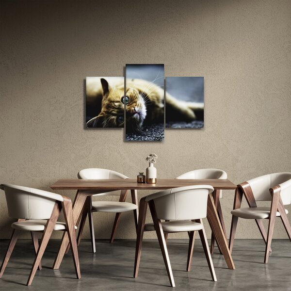 Tablou cu pisica (90x60 cm)