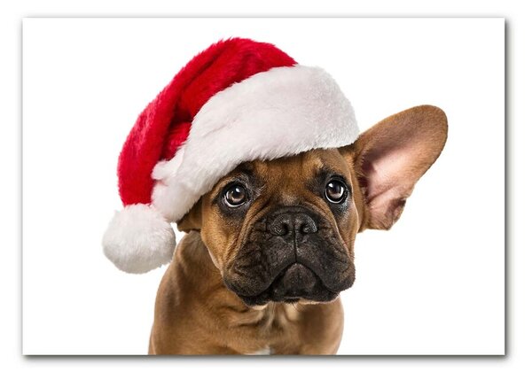 Tablou pe sticla Bulldog Christmas Dog