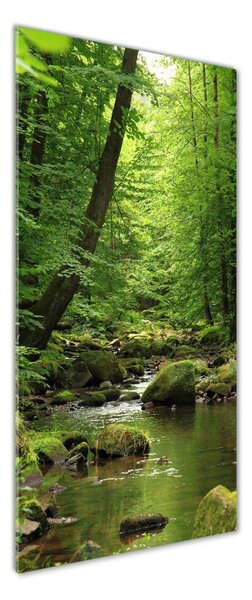 Tablou pe pe sticlă Râul în pădure