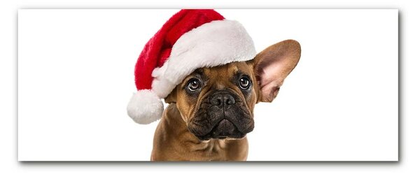 Tablou pe sticla Bulldog Christmas Dog