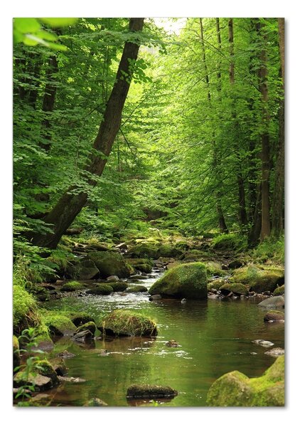 Tablou pe pe sticlă Râul în pădure