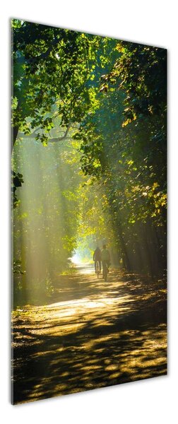 Tablou sticlă Calea în pădure