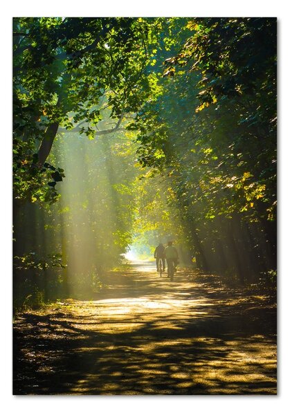 Tablou sticlă Calea în pădure