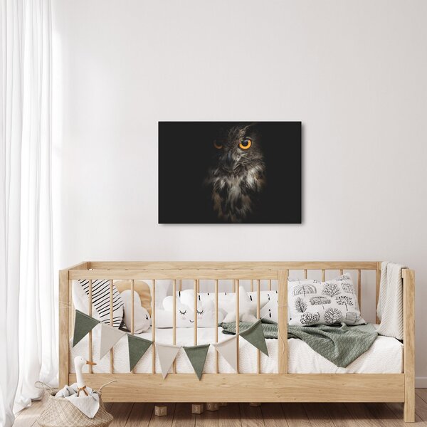 Tablou cu bufnița (70x50 cm)