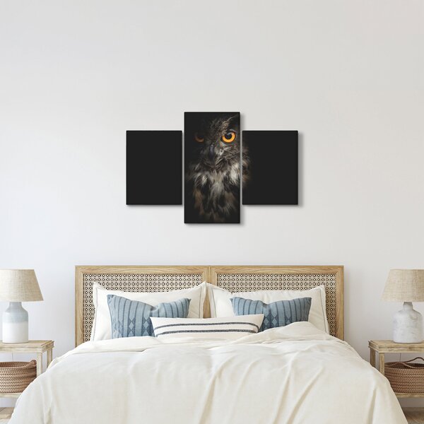 Tablou cu bufnița (90x60 cm)