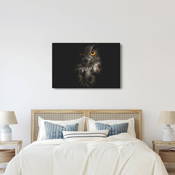 Tablou cu bufnița (90x60 cm)