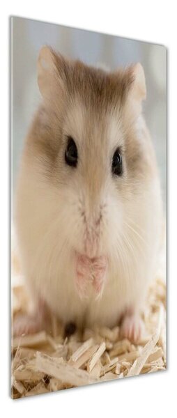 Tablou pe pe sticlă Hamster