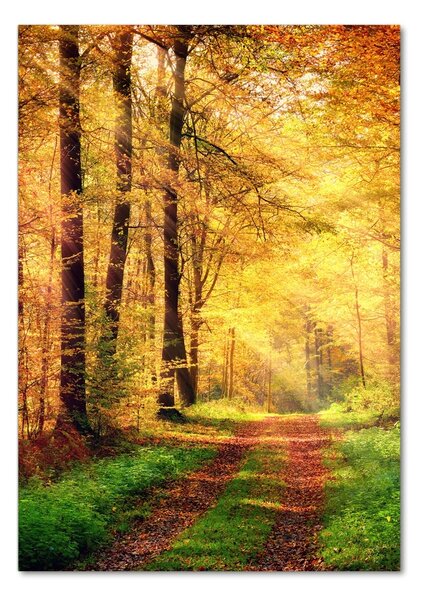Tablou pe pe sticlă pădure în toamna
