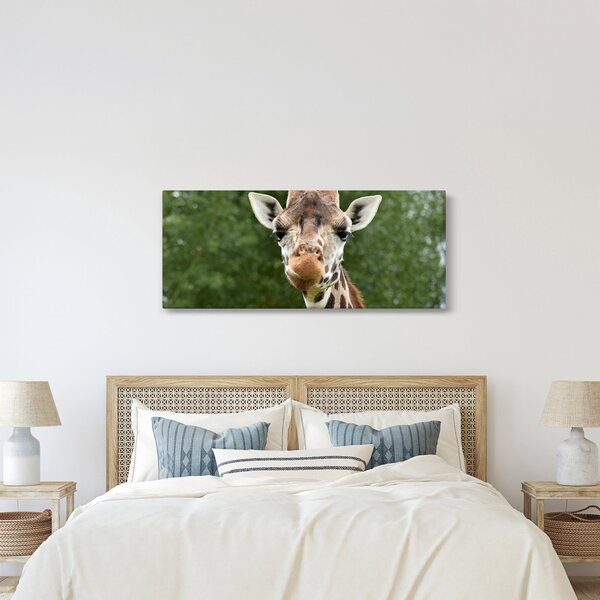 Tablou cu girafa (120x50 cm)