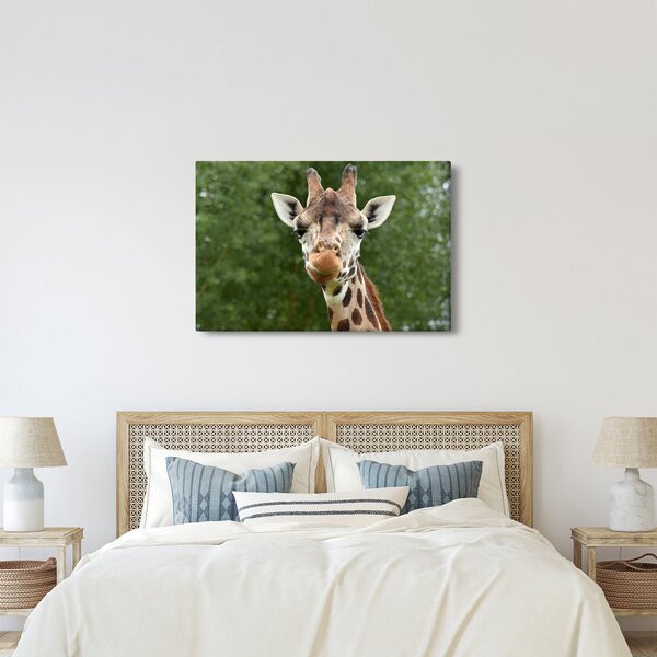 Tablou cu girafa (90x60 cm)