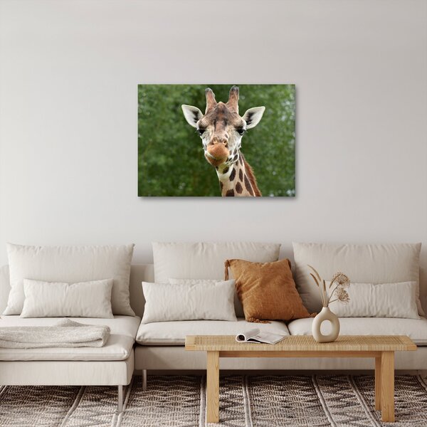 Tablou cu girafa (70x50 cm)