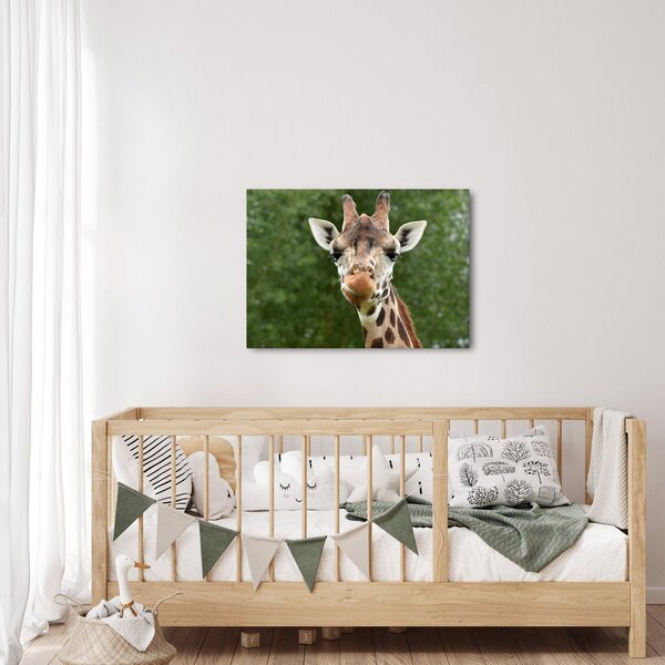 Tablou cu girafa (70x50 cm)