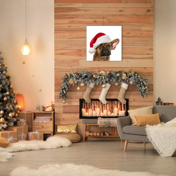 Tablou pe panza canvas Bulldog Christmas Dog