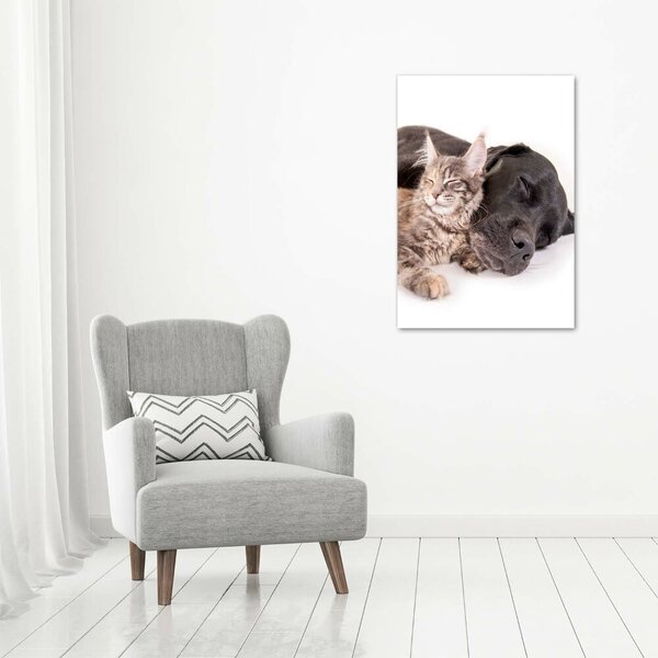 Tablou canvas Câine și pisică