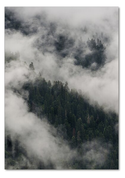 Imagine de sticlă Cloud peste pădure