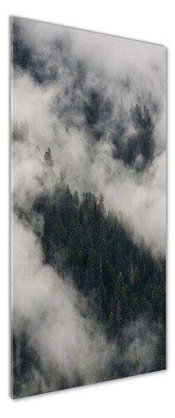 Imagine de sticlă Cloud peste pădure