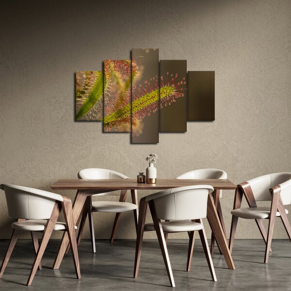 Tablou cu plantă (150x105 cm)