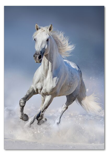 Tablou din Sticlă cal alb în galop