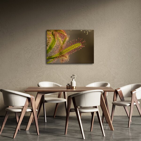 Tablou cu plantă (70x50 cm)