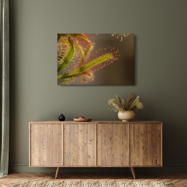 Tablou cu plantă (90x60 cm)
