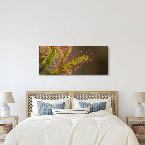 Tablou cu plantă (120x50 cm)