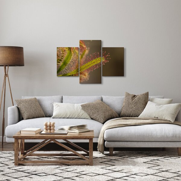 Tablou cu plantă (90x60 cm)