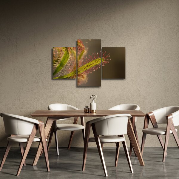 Tablou cu plantă (90x60 cm)