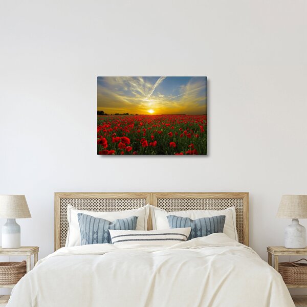 Tablou cu câmp cu maci (70x50 cm)