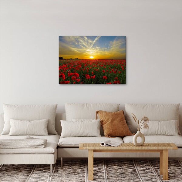 Tablou cu câmp cu maci (70x50 cm)