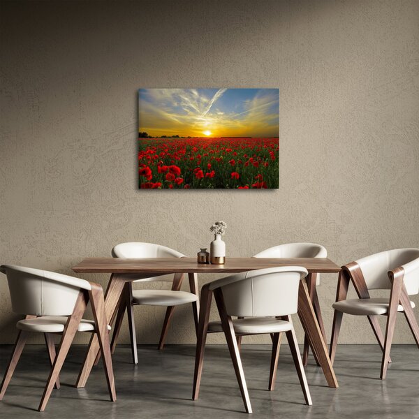 Tablou cu câmp cu maci (70x50 cm)