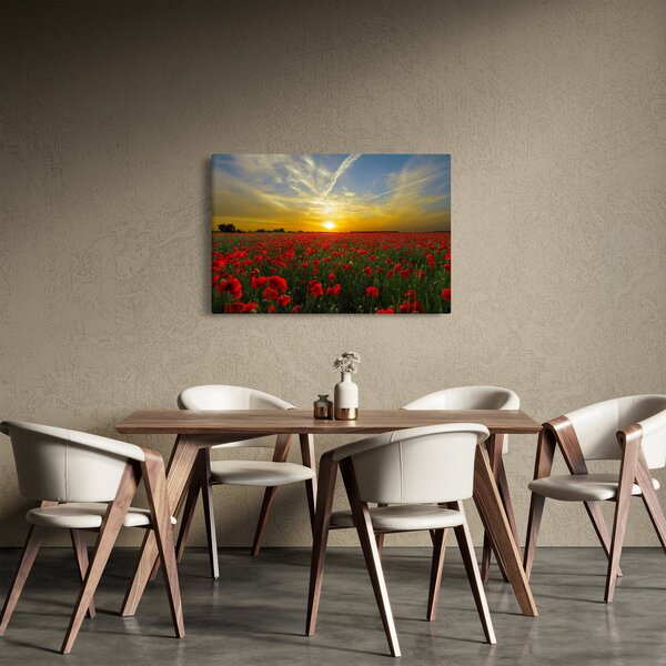 Tablou cu câmp cu maci (90x60 cm)