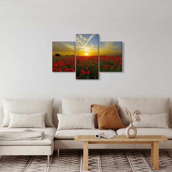 Tablou cu câmp cu maci (90x60 cm)