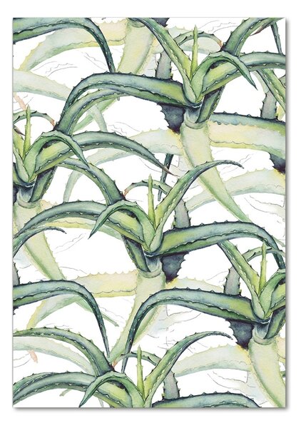 Tablou Printat Pe Sticlă Aloe