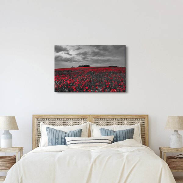 Tablou cu maci (90x60 cm)