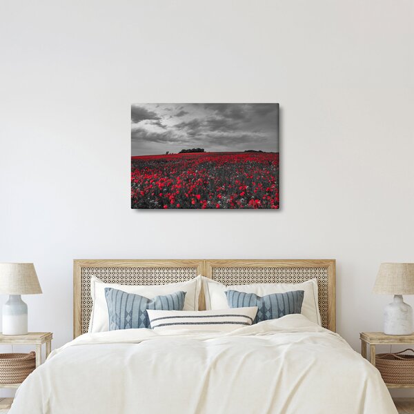 Tablou cu maci (70x50 cm)