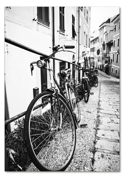 Tablou din Sticlă biciclete urbane