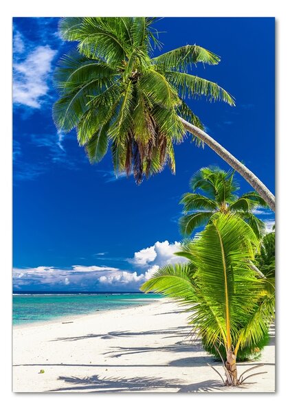 Tablou sticlă plaja tropicala