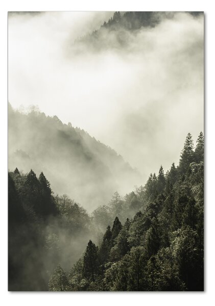 Tablou sticlă Ceață peste pădure