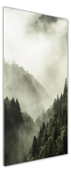 Tablou sticlă Ceață peste pădure
